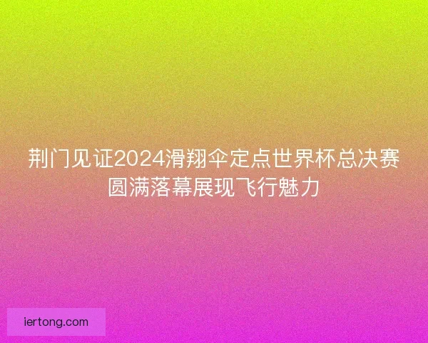 荆门见证2024滑翔伞定点世界杯总决赛圆满落幕展现飞行魅力
