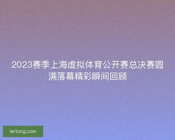2023赛季上海虚拟体育公开赛总决赛圆满落幕精彩瞬间回顾